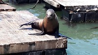 20190731_115536