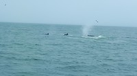 20190803_142242(0)
