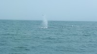 20190803_142231