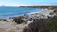 20190804_135454