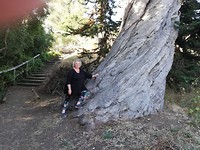 IMG-20190805-WA0013