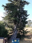 IMG-20190805-WA0018