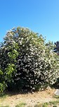 20190805_171330