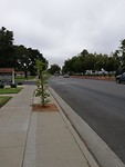 IMG-20190806-WA0003