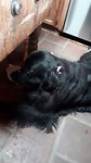20190807_181313