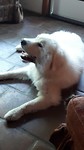 20190807_181251(0)