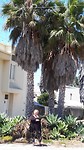 20190808_123826