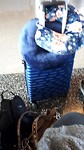 20190809_160446