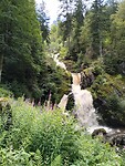 IMG-20230802-WA0056