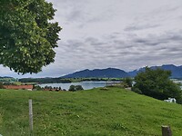 20230804_130837