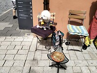 IMG-20230805-WA0007