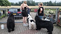 IMG20240721204711