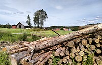 IMG_20240729_122814