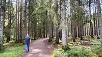 IMG20240730163903