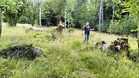 IMG20240730163559