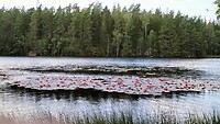 IMG20240730163445
