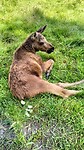 IMG20240731131231
