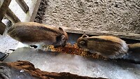 IMG_20240803_122934