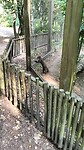 IMG20240803093549