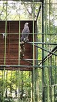 IMG20240803092511
