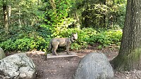 IMG20240803092313