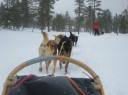 IMG_2201-550