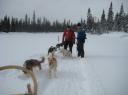 IMG_2205-550