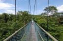 Tree top walk