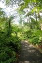 Botanic Garden Singapore