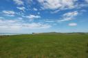 Oostkust NZ