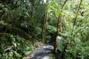 Looppad naar afvaartplaats Milford Sound