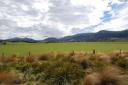 North Mavora Lake