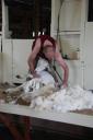 Schaap scheren