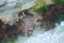 Onder water :)