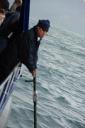 Sonar meneer op de walvis boot