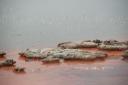 Champagne pool