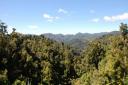Rainforest Route
