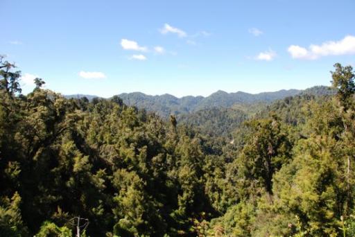 Rainforest Route