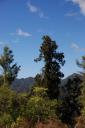 Rainforest Route