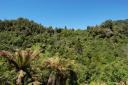 Rainforest Route