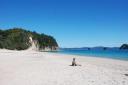 Lijnie in de Coromandel