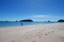 Coromandel