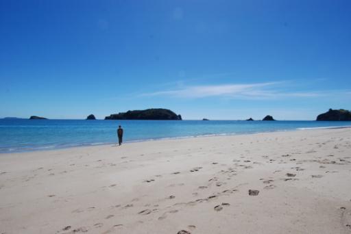 Coromandel
