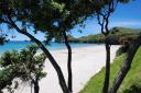 Coromandel