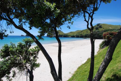 Coromandel