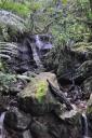 Biotope de Quetzal