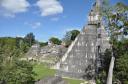 Tempel in Tikal