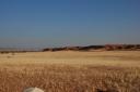 Namib desert