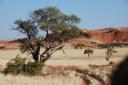 Namib desert