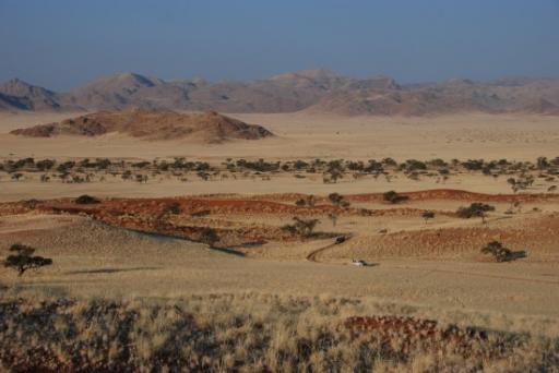 Namib desert